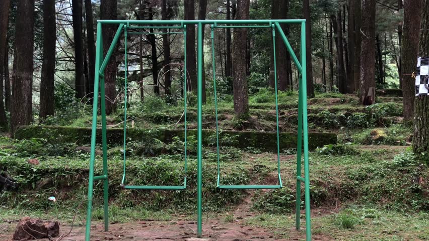 green swing in the middle of a pine forest