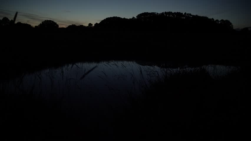 Twilight on a restored tall grass prairie and a small country pond in Iowa blasted with fireflies and lightning bugs. With country sounds.