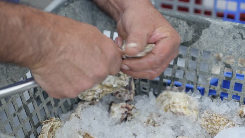 Close-up shot of a man using a knife to pry open fresh oysters for cooking
