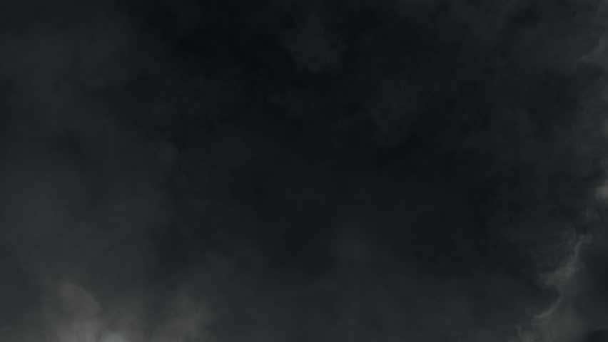 Shutterstock Video