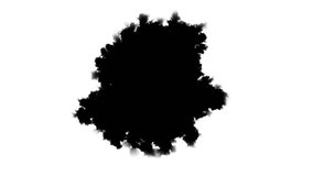 Black ink spot spreading from center. Video revealer from isolated white to black solid transition - Powered by Shutterstock - Get 15% off with code: PIKWIZARD15