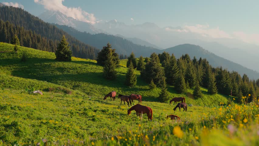 Mountains and wild horses in Kazakhstan