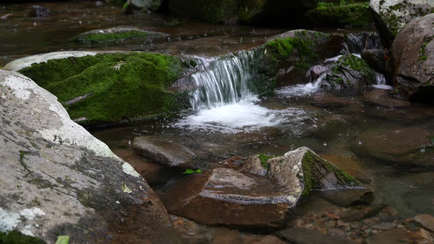 Cascading Water In Smoky Mountains