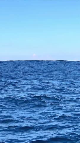 Humpback whale (Megaptera novaeangliae) breaching, Alaska, USA