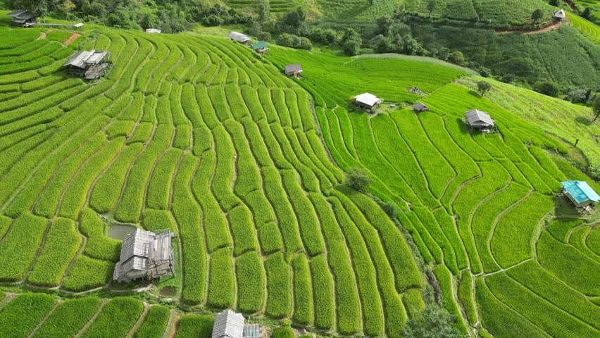 Stunning 4k aerial footage of lush green rice terraces in Northern Thailand. Captures intricate patterns cascading down mountainsides with a picturesque village nestled in the vibrant landscape.