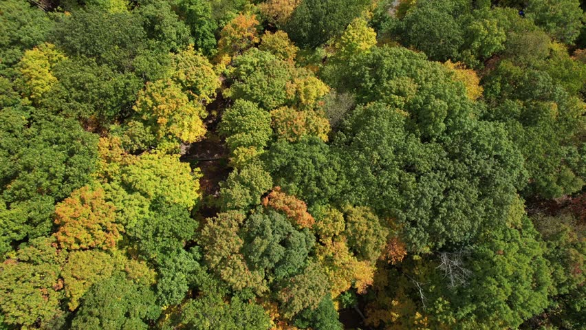An aerial view of a beautiful Croton Gorge Park and trees in autumn in New York