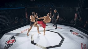Mixed Martial Arts Match: Male MMA Opponents in Black and Red Shorts Fighting for the Belt Inside an Octagon. Fighter Knocking Out the Competitor with a High Kick After a Powerful Exchange of Strikes - Powered by Shutterstock - Get 15% off with code: PIKWIZARD15