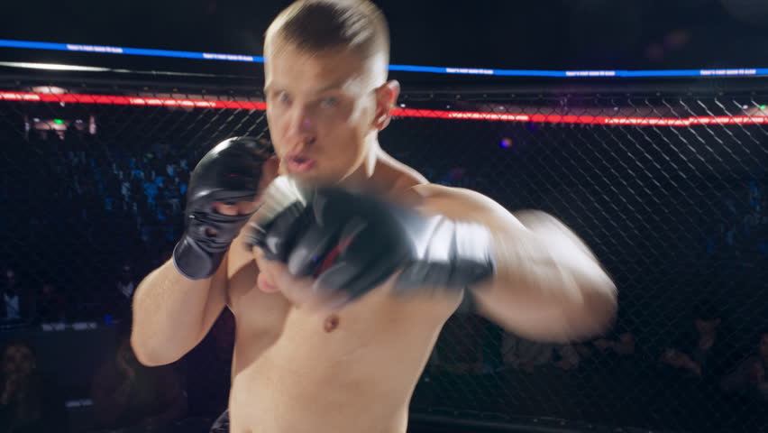 Shutterstock Video