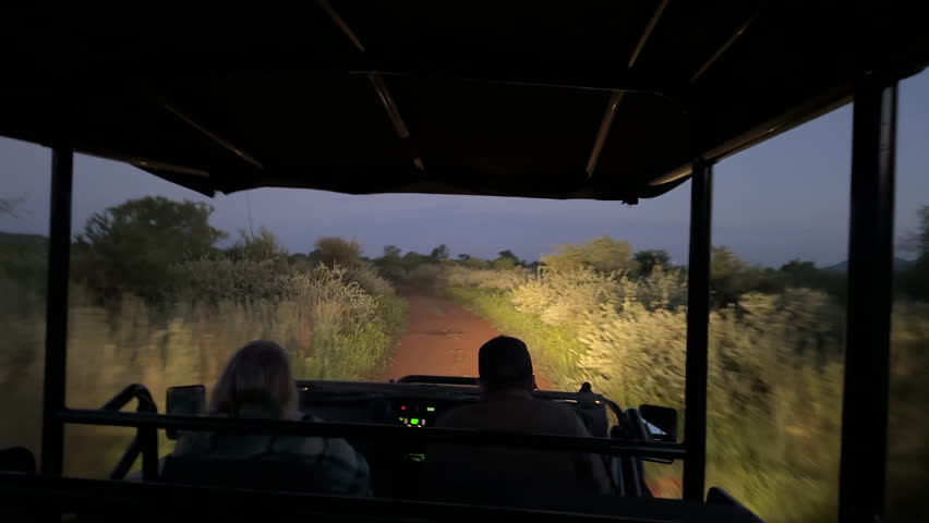 On safari at night and in the dark, where the ranger is driving and looking out for animals. South Africa.