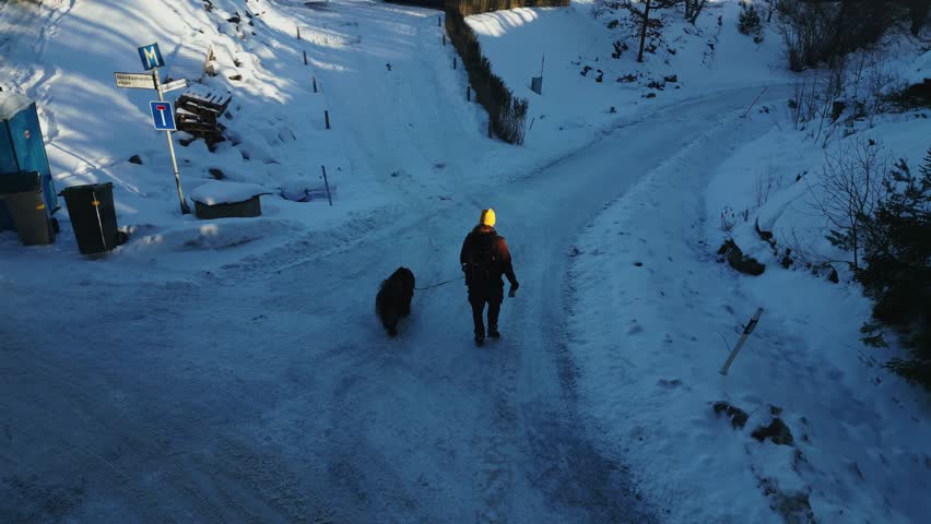 A drone shot of a man walking with his dog on road in snow-covered area on a winter cold day