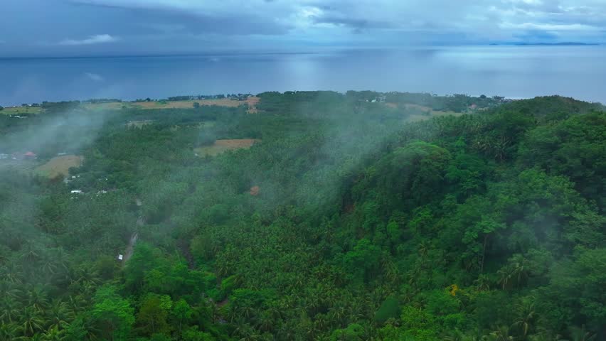 Aerial view of green Biliran island with mountains on cloudy day. Coconut trees with Carigara Bay. The Philippines, Asia.