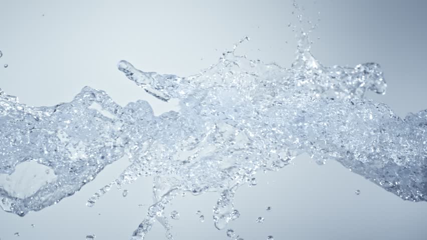 Shutterstock Video