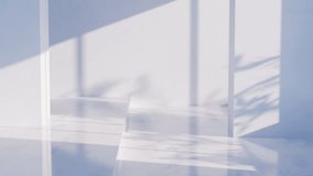 Sunny white room or studio. 3d render, realistic design. Foliage leaf shadow, sunlight, looped animation. Minimalistic modern style, empty space. template for product show, background.  - Powered by Shutterstock - Get 15% off with code: PIKWIZARD15