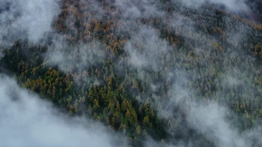 Fall autumn Saastal Saas Fee Switzerland aerial drone mountain larch forest peak moody clouds layer gray grey rainy fog mist Swiss Alps mountain peaks glacier valley pan motion