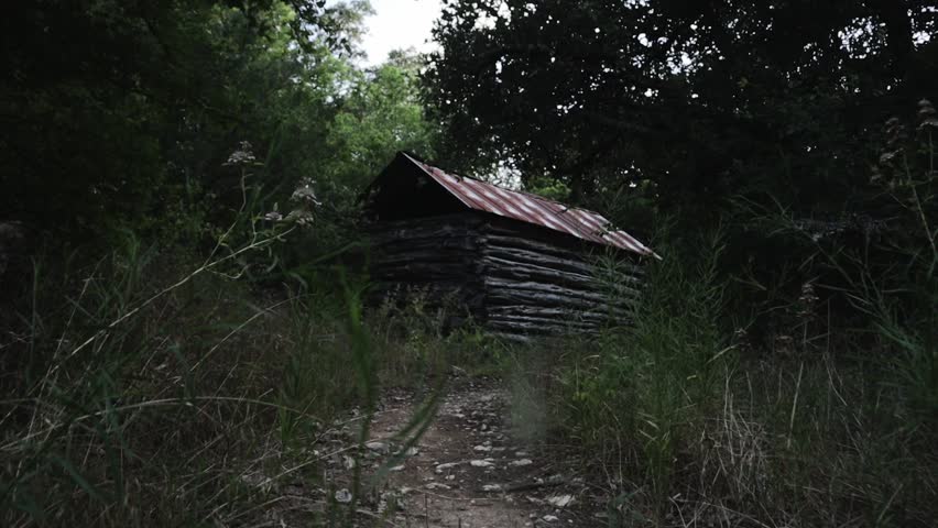 Lone spooky cabin in the middle of the woods leading up with a pathway.