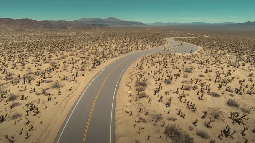 Barren desert landscape with cactus and highway road in Joshua Tree National Park, California, United States of America.