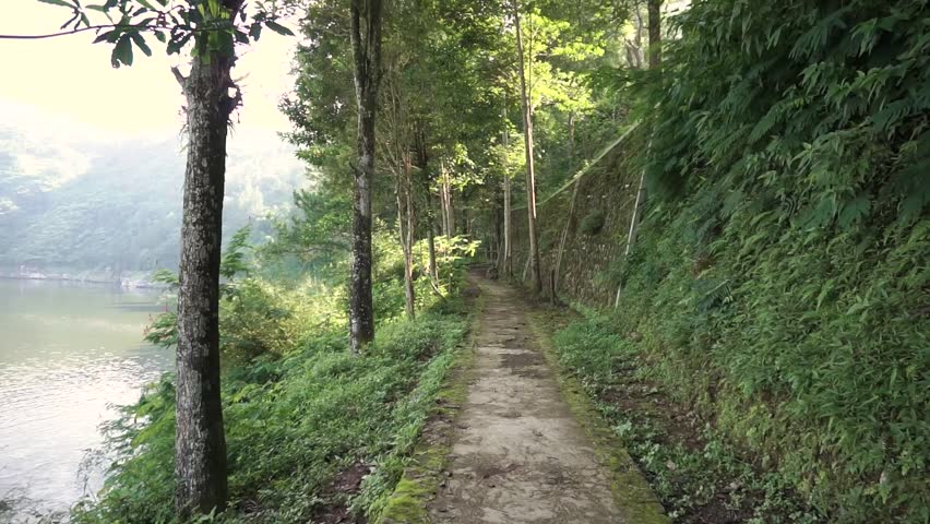 Walk Through the Concrete Pathway with Tree Line By the Lake of Telaga Menjer in Morning
