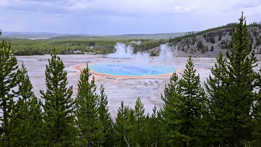 A timelapse of steam coming out from Grand Prismatic Spring behind trees at Yellowstone National Park with nature in the background in Wyoming, USA