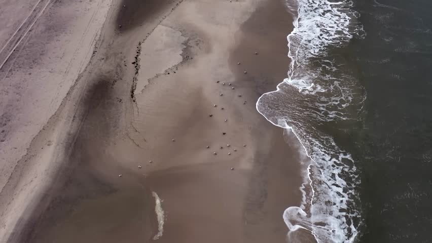 A time-lapse drone shot of Jones beach with a seascape view  on a gloomy day