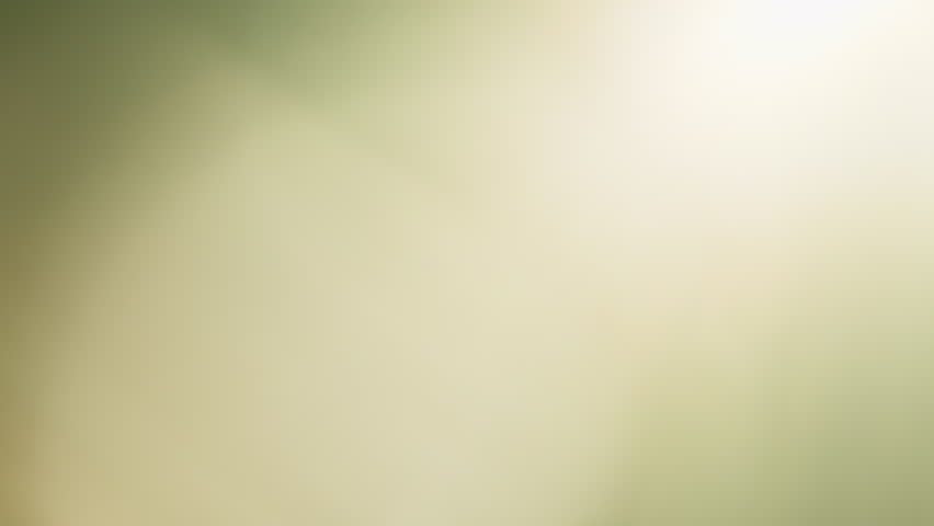 Shutterstock Video