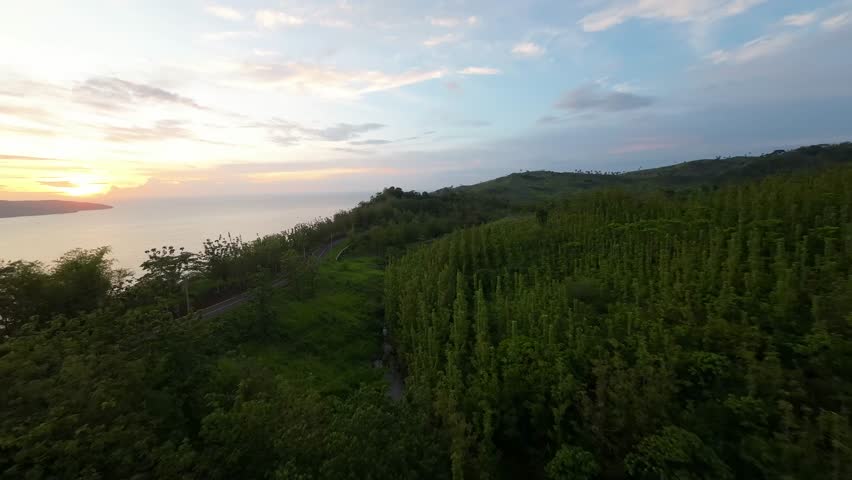 a beutiful view on the hill at sunset time