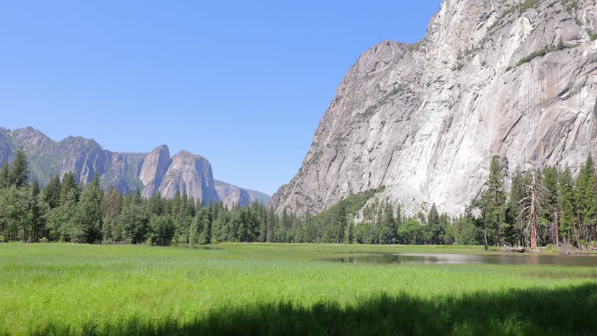 Camera moves past a beautiful meadow in Yosemite National Park in California.
