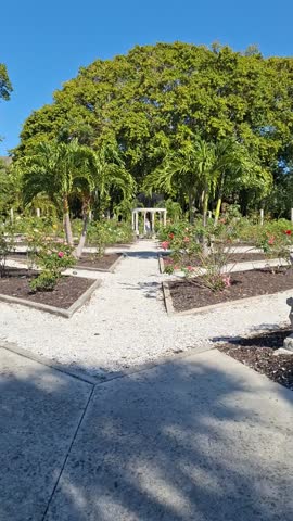 Explore the Ringling Museum and its stunning surroundings in Sarasota, Florida, showcasing beautiful architecture, lush gardens, and captivating art collections in a serene setting.