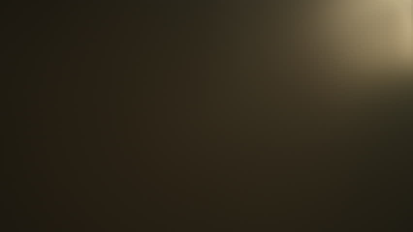 Shutterstock Video