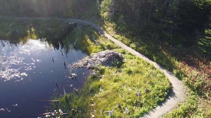 A high-angle drone footage of a narrow path next to the Ned