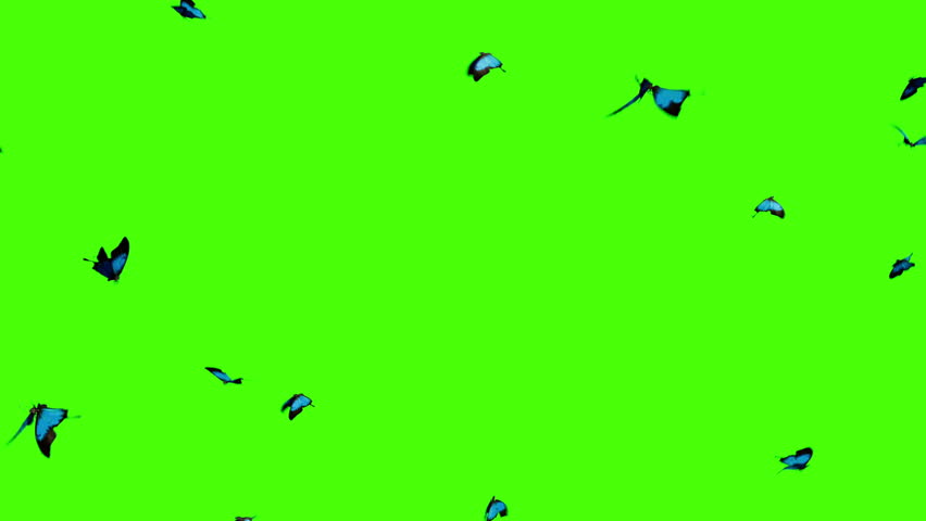 butterfly blue loop on green for loop icon