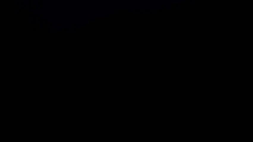 Highly detailed animation, perfectly usable for all kinds of topics related to international business, global networks or commercial flight routes.
