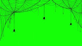 Halloween spider and web on green background, cute spider 4k animation design element - Powered by Shutterstock - Get 15% off with code: PIKWIZARD15