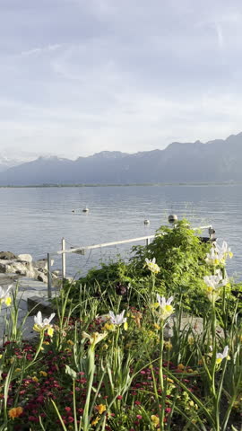 Tranquil Stone Deck with Lakeside Flowers, Soaring Seagull, and Scenic Mountain Backdrop