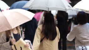 JAPAN - MAY 2021 : Back shot of crowd of people with umbrella, walking at the zebra crossing in rain. Slow motion shot. Japanese rainy season and city lifestyle concept video. - Powered by Shutterstock - Get 15% off with code: PIKWIZARD15