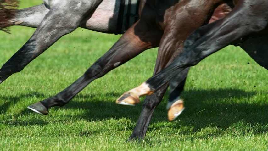 Super Slow Motion of Running Horses on Derby. Closeup of Legs. Filmed on High Speed Cinema Camera, 1000 fps.