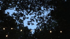 String lights glowing under a canopy of leaves against a twilight sky. - Powered by Shutterstock - Get 15% off with code: PIKWIZARD15