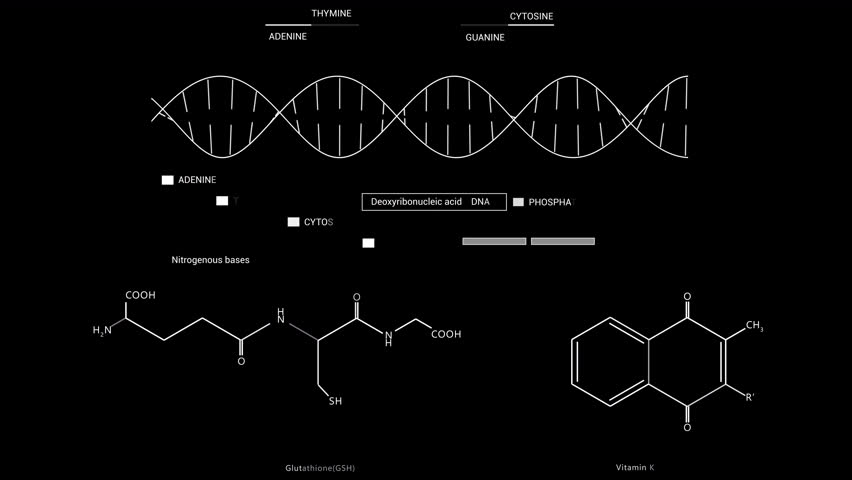 DNA Chemistry structure formulas,elements. UI HUD. Medicine healthcare. Glutathione,vitamin K. School, University and Institute Program. Online learning.PNG  