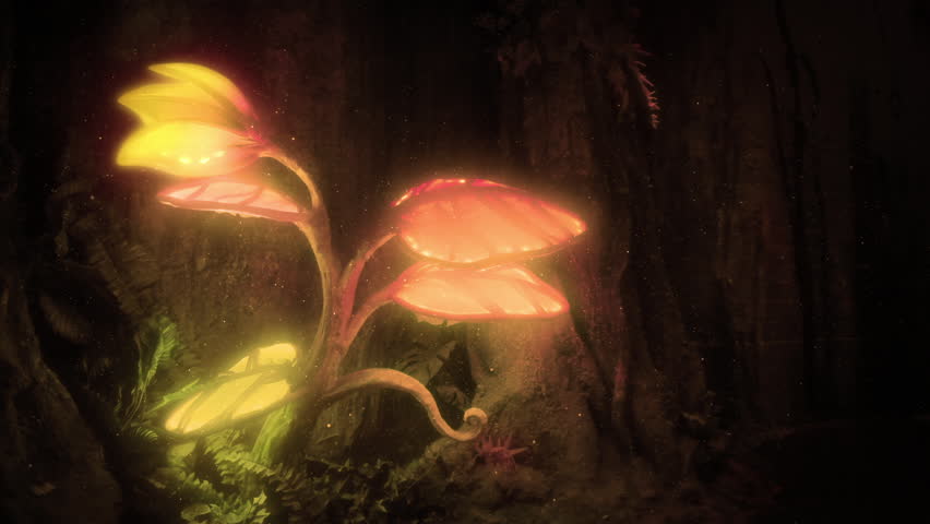 Glowing Plants In Magic Woods 2 Shots
