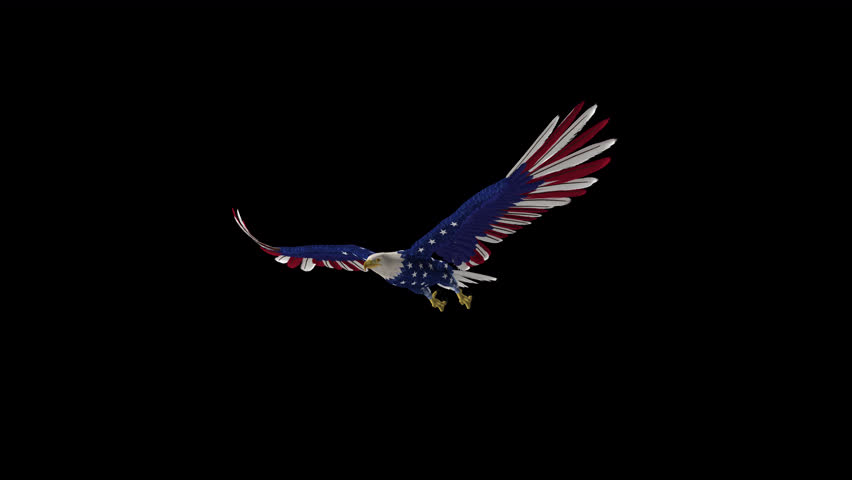 American Bald Eagle in USA Flag Colors - Flying Loop Side Angle View Close Up II - Realistic 3D animation isolated on transparent background with alpha channel
