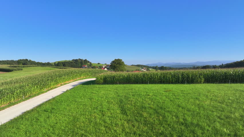 AERIAL: Winding countryside road leads through lush green fields towards a small village. Houses and farmhouses dotting the serene and beautiful landscape with meadows and forests among rolling hills.
