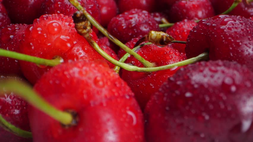Freshly picked cherries on a white plate, rotating. Appealing fruits against a dark background, macro shots. Emphasizing healthy eating and vegetarian diet. Nicely illuminated.