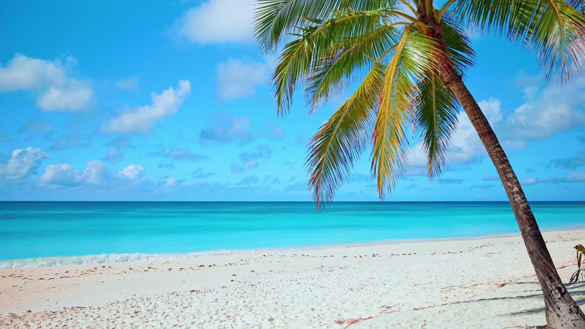 Beautiful view of a wild tropical beach in Sri Lanka on a sunny day. Landscape with turquoise ocean and cloudy sky, palm tree background, summer concept. Dream scene. Summer view of nature.