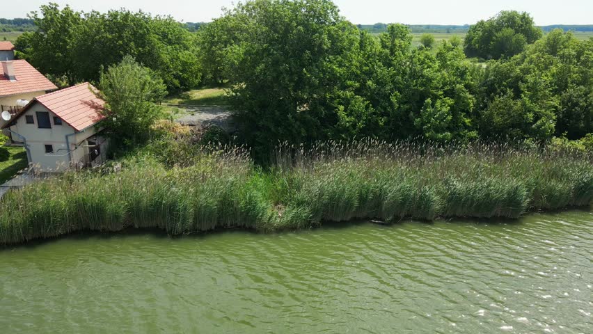 Houses and piers surrounded with reeds and bushes on a shore of lake