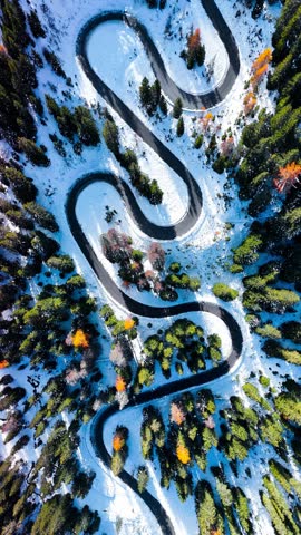 Aerial drone view winding mountain road between autumn trees and snow spruce forest. Serpentine snake road in Italian Alps. Cars driving through the curve. High quality FullHD footage