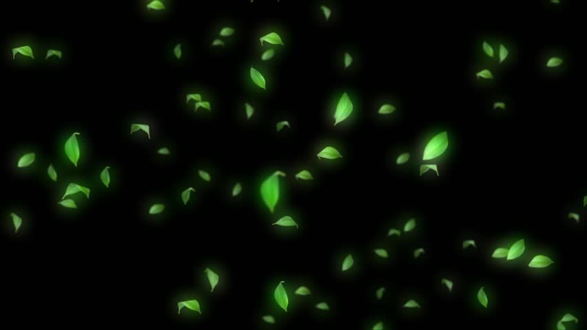 The video features a seamless loop of falling leaves, with various leaves gently fluttering down, creating a serene and natural visual effect.