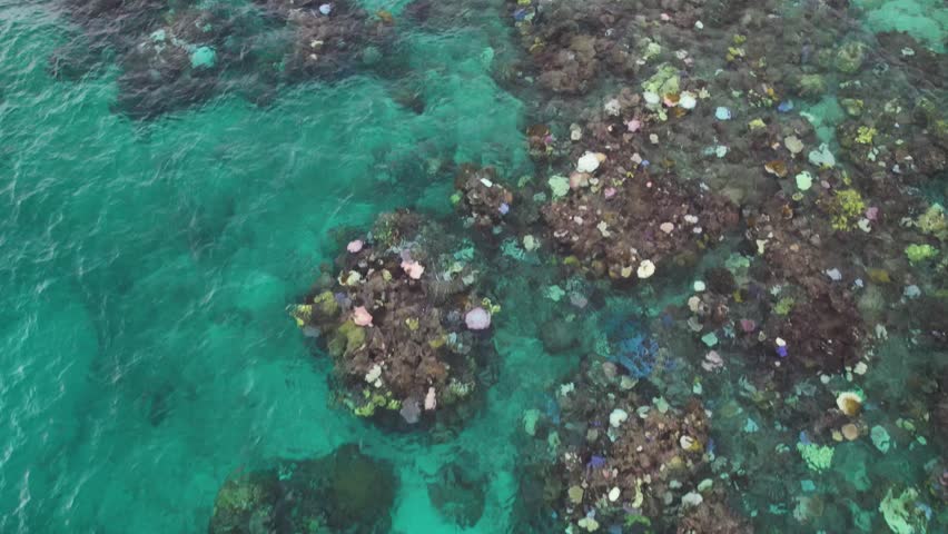 Birdseye Aerial View of Coral Reefs in Great Barrier Reef, Australia