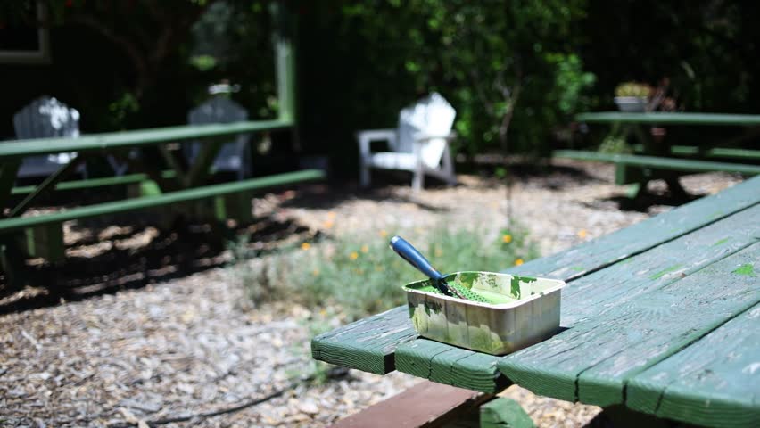 A tree and plant nursery garden in Los Angeles California during the early part of summer.