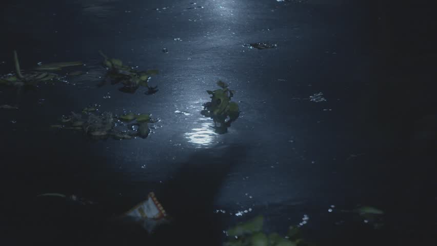Slow motion of light reflecting off the Buriganga river at night, weeds and litter floating on it, in Dhaka Bangladesh