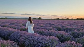 Rear view of a young woman in white dress walking across a blooming lavender field at sunset. Beautiful bridal scene with a bride in purple lavandula flowers meadow. Picturesque summer view - Powered by Shutterstock - Get 15% off with code: PIKWIZARD15