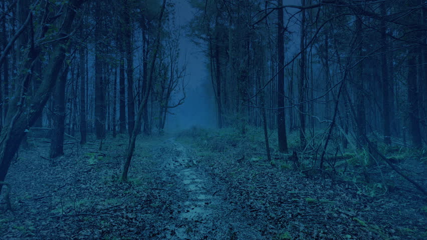 Paranormal Scary POV Woods Turn Dark And Misty
